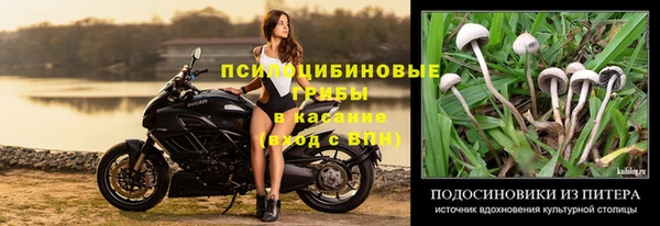 винт Кукмор