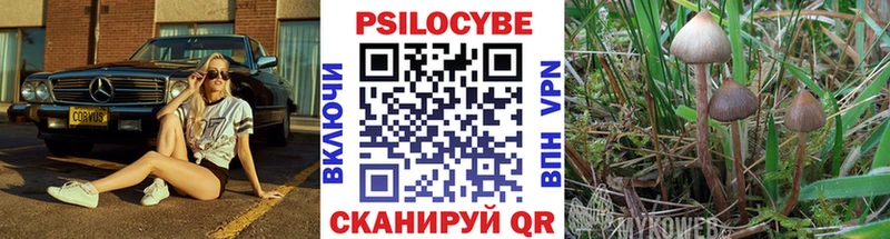 Псилоцибиновые грибы ЛСД  ссылка на мегу маркетплейс  Неман 